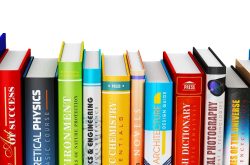 undergraduate programme